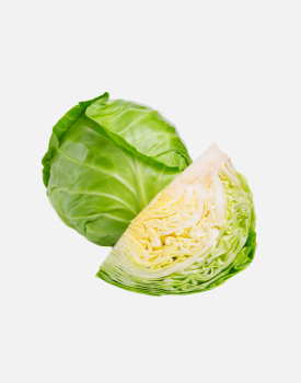 Cabbage